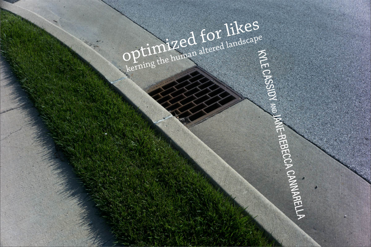 optimized for
      likes cover - a photo of grass a sidewalk a manhole cover and
      asphalt