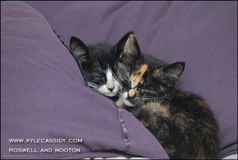 roswell-nooton