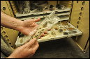 brad-hafford-day-of-archaeology-kyle-cassidy0109