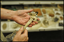 brad-hafford-day-of-archaeology-kyle-cassidy0113