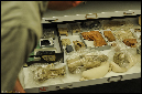 brad-hafford-day-of-archaeology-kyle-cassidy0115