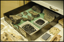 brad-hafford-day-of-archaeology-kyle-cassidy0116