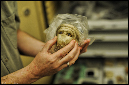 brad-hafford-day-of-archaeology-kyle-cassidy0119