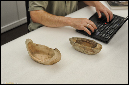 brad-hafford-day-of-archaeology-kyle-cassidy0129